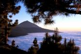 Tenerife and the Canary Islands (1)